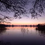 Kletterrose, Seenaehe, Mecklenburgische Seenplatte