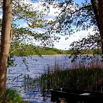 Kletterrose, Seenaehe, Mecklenburgische Seenplatte Apartamento