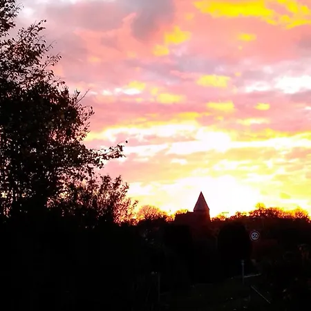 Kletterrose, Seenaehe, Mecklenburgische Seenplatte Lägenhet
