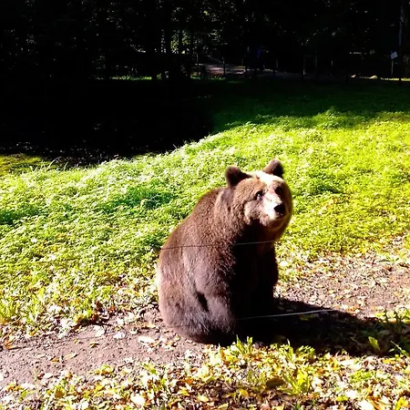 Lejlighed Kletterrose, Seenaehe, Mecklenburgische Seenplatte *
