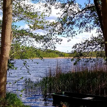 Kletterrose, Seenaehe, Mecklenburgische Seenplatte Lägenhet