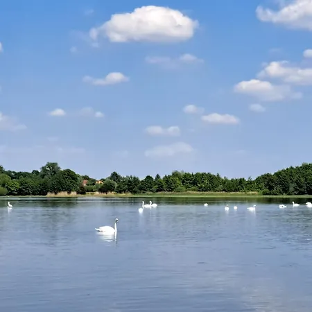 Lejlighed Kletterrose, Seenaehe, Mecklenburgische Seenplatte