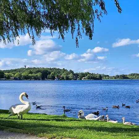 Kletterrose, Seenaehe, Mecklenburgische Seenplatte Lägenhet