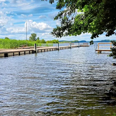 Kletterrose, Seenaehe, Mecklenburgische Seenplatte Lejlighed