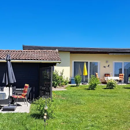 Kletterrose, Seenaehe, Mecklenburgische Seenplatte *