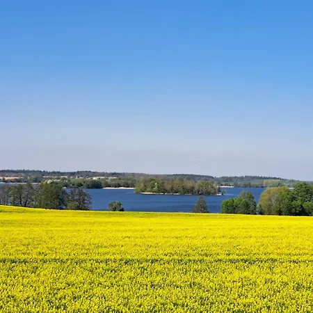 Kletterrose, Seenaehe, Mecklenburgische Seenplatte *