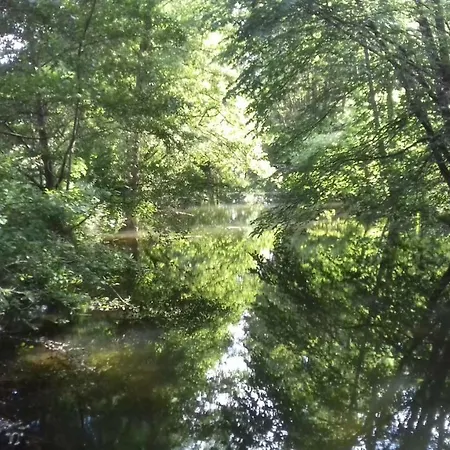 Lägenhet Kletterrose, Seenaehe, Mecklenburgische Seenplatte Kuchelmiss