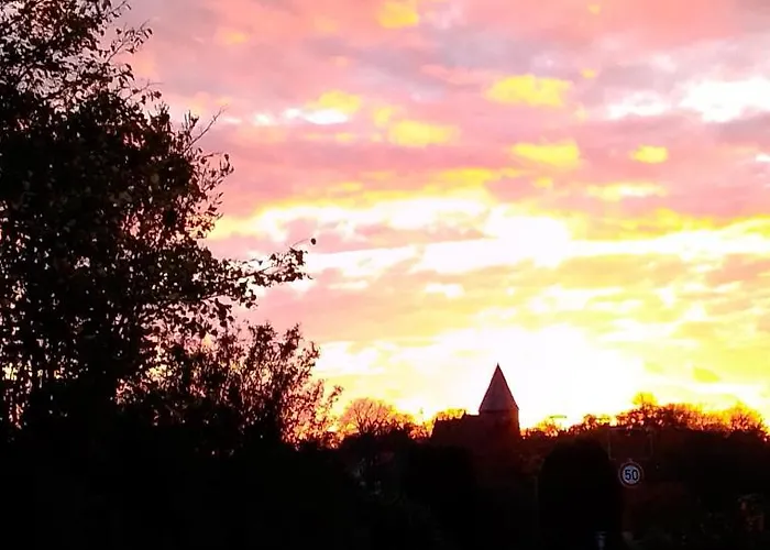 Kletterrose, Seenaehe, Mecklenburgische Seenplatte Apartamento