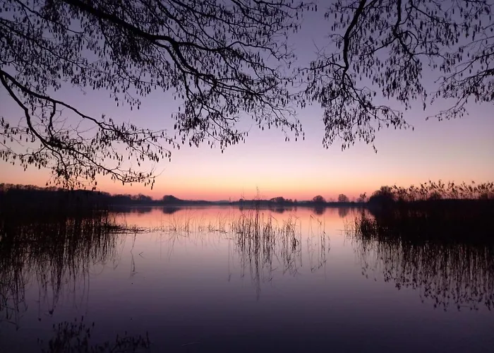 Kletterrose, Seenaehe, Mecklenburgische Seenplatte