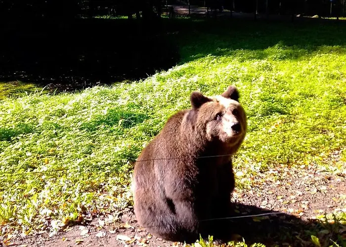 Apartamento Kletterrose, Seenaehe, Mecklenburgische Seenplatte *