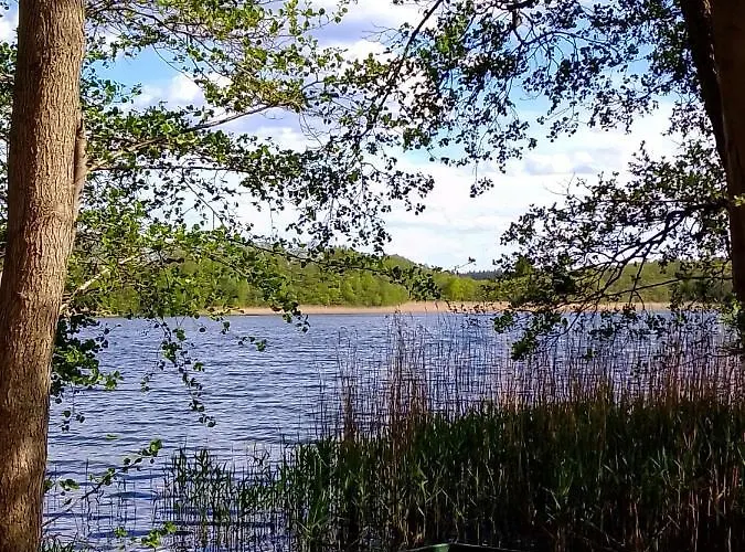 Kletterrose, Seenaehe, Mecklenburgische Seenplatte Apartamento