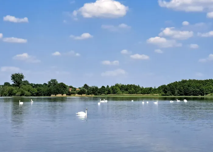 Apartamento Kletterrose, Seenaehe, Mecklenburgische Seenplatte