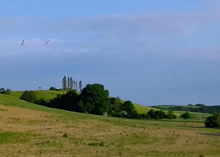Kletterrose, Seenaehe, Mecklenburgische Seenplatte * Kuchelmiss